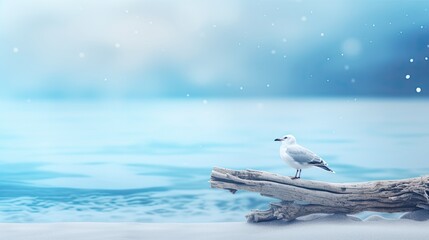 Serene winter landscape with a lone seagull