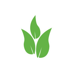 leaf logo icon