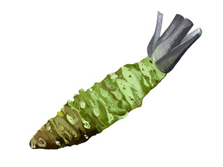 サビは香辛料のワサビが語源である