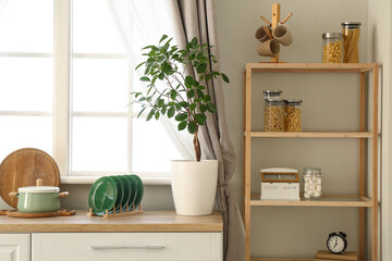 Interior of stylish kitchen with white counters, window, houseplant and shelving unit