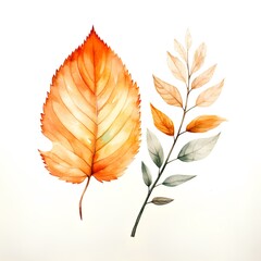 Watercolor autumn leaves isolated on white background. Hand painted illustration.