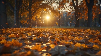 Autumn background with golden leaves on the ground in a park at sunset. A beautiful autumn landscape. An autumn concept.