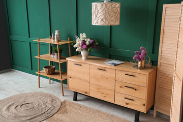 Stylish wooden cabinet and shelving unit near green wall in room