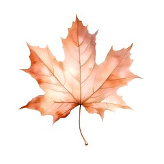 Autumn maple leaf isolated on white background. Watercolor illustration.