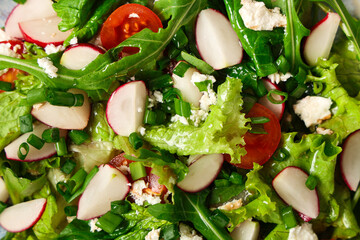 Texture of tasty salad with radish, closeup
