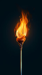 Match stick burning closeup