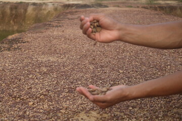 Red gravel. small red pebbles. Can be used for natural aquariums with red brown color. contained in and plains of red soil