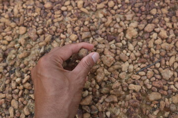 Red gravel. small red pebbles. Can be used for natural aquariums with red brown color. contained in and plains of red soil