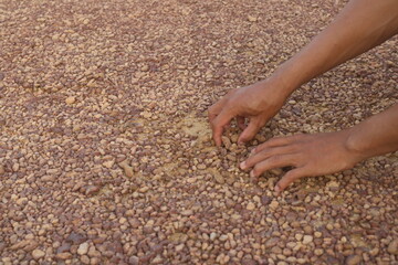 Red gravel. small red pebbles. Can be used for natural aquariums with red brown color. contained in and plains of red soil