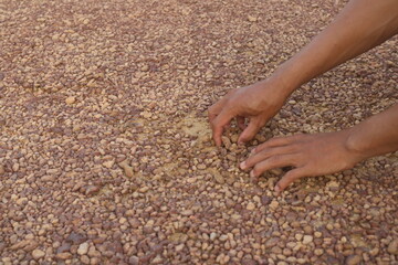 Red gravel. small red pebbles. Can be used for natural aquariums with red brown color. contained in...