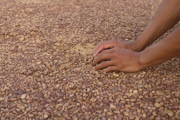 Red gravel. small red pebbles. Can be used for natural aquariums with red brown color. contained in and plains of red soil
