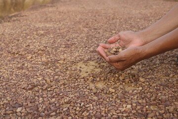 Red gravel. small red pebbles. Can be used for natural aquariums with red brown color. contained in and plains of red soil
