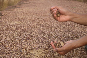 Red gravel. small red pebbles. Can be used for natural aquariums with red brown color. contained in...