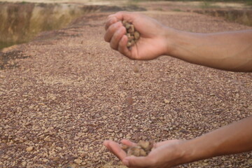 Red gravel. small red pebbles. Can be used for natural aquariums with red brown color. contained in and plains of red soil