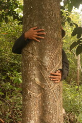hugging a tree trunk lovingly in a tropical forest. Jungle green natural background. Concept of people loving nature and protecting nature