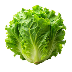 lettuce bud mockup