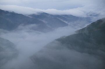 香川と徳島の県境をまたぐ雲辺寺山(標高 927m)の山頂にある雲辺寺の雲海