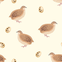 Seamless pattern with quails and eggs. Vector background. Cartoon flat illustration of poultry bird.