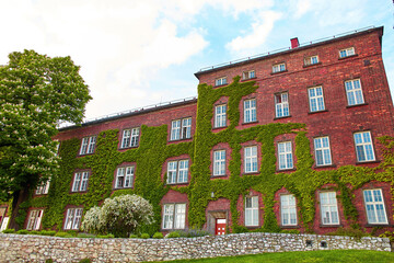 A building made of old red brick with lush green ivy climbing over it on the old Zamek Krolewski na...