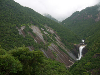 Mountain waterfall surrounded by tropical forest, Famous Senpiro Falls, Yakushima island scenic spot