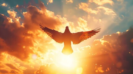 pigeon flying in the sunset