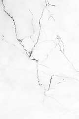 Marble white grey texture with black vein abstract light background