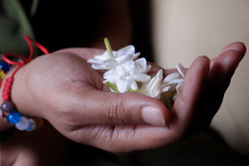 beautiful delicate hands of a girl with jasmine flowers in their hands