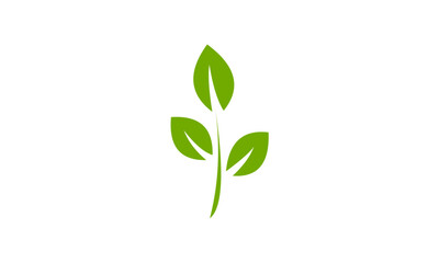 green leaf logo