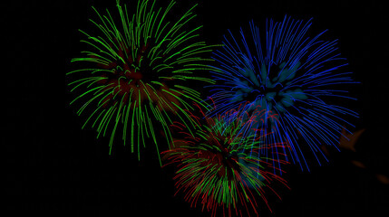 colorful fireworks display at night sky