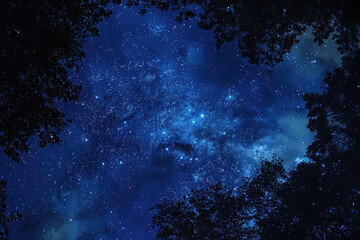 Fototapeta na wymiar Deep indigo night sky inspiring awe