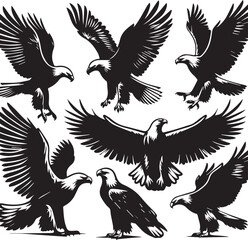 Obraz premium Eagle silhouette set. Eagle illustration