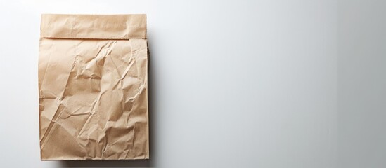 A white background separates the blank paper bag.