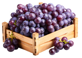 Sweet Shine Muscat purple grape with leaves in brown wooden box freshly collected isolated on cut out PNG or transparent background. With clipping path. Realistic fruit clipart pattern.