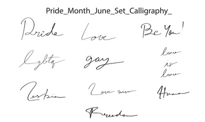 Pride gay lesbian june month rainbow calligraphy hand lettering equality design text font typography parade black color government human right support print lgbtq sex diversity quote festival politic 