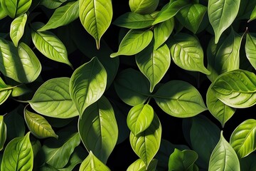 green leaves background