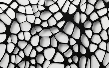 Black and white spider web texture with a lot of detail, Voronoi background