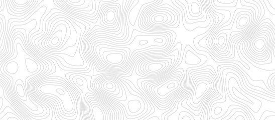 Abstract Topographic map background with wave line. Panorama view gradient multicolor wave curve lines banner background design. Vector illustration. wave Line topography map contour background.