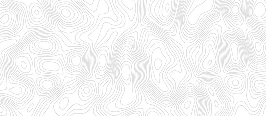 Abstract Topographic map background with wave line. Panorama view gradient multicolor wave curve lines banner background design. Vector illustration. wave Line topography map contour background.