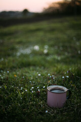 a cup of hot drink on a green lawn in the garden on a sunny day