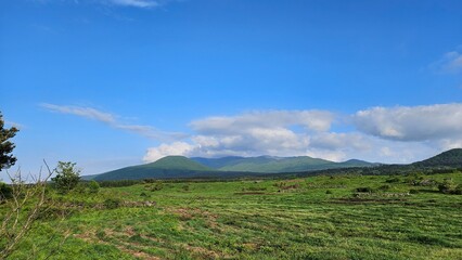 sky, landscape, grass, field, nature, summer, 