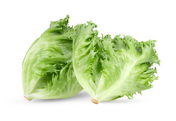 fresh Frillice Iceberg Lettuce on transparent png