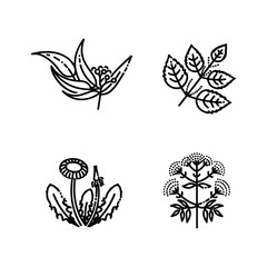 Icon set of flower. Editable vector pictograms isolated on a white background.