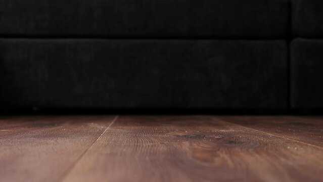 Close up robot vacuum cleaner picks up trash on the floor in room. Smart home with automated devices that simplify life, macro shot.