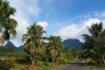 Fototapeta premium Landscape of Moorea Island