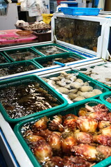 local seafood market in Jeju Island, Korea 서귀포올레시장