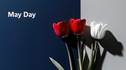 Vibrant May Day Tulip Collage Photograph