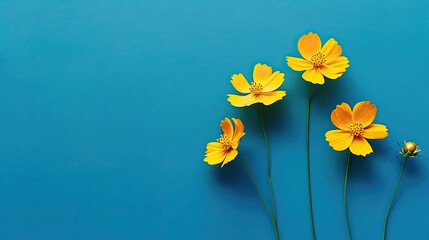 Vibrant Yellow Flowers Against Blue Background