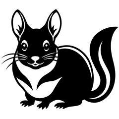 Chinchillas vector icon illustration