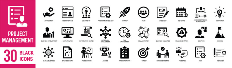 Project management solid icons set. Project, management, development,  teamwork, strategy, business, project and meeting. Vector illustration