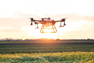 Drone flying over agricultural field and spraying crops in sunset.